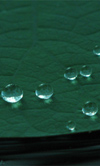 coatings