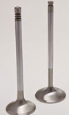 valves