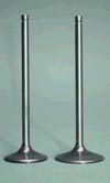 valves